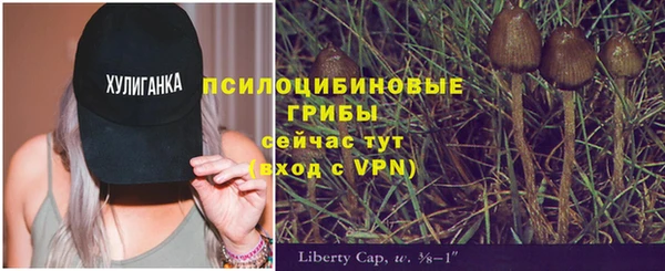 тгк Краснослободск