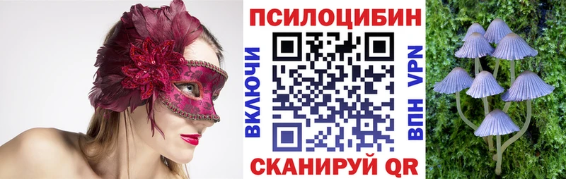 OMG маркетплейс  мориарти как зайти  Галлюциногенные грибы Cubensis  Алексеевка 