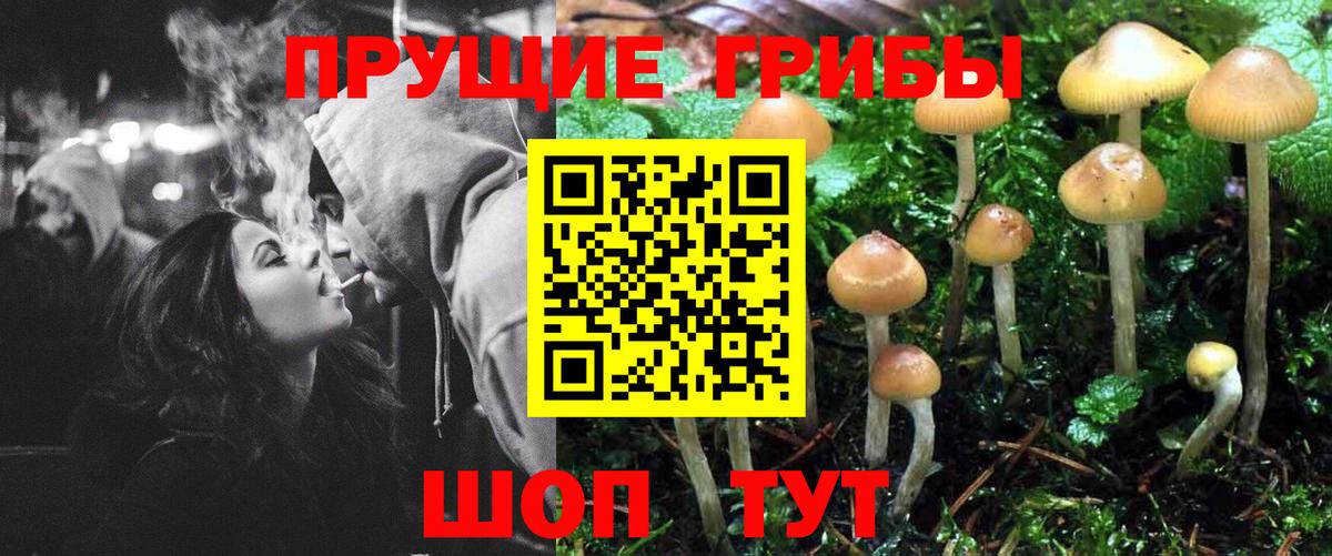 Алексеевка  Галлюциногенные грибы мухоморы  Вход с VPN  закладка  Галлюциногенные грибы мухоморы 