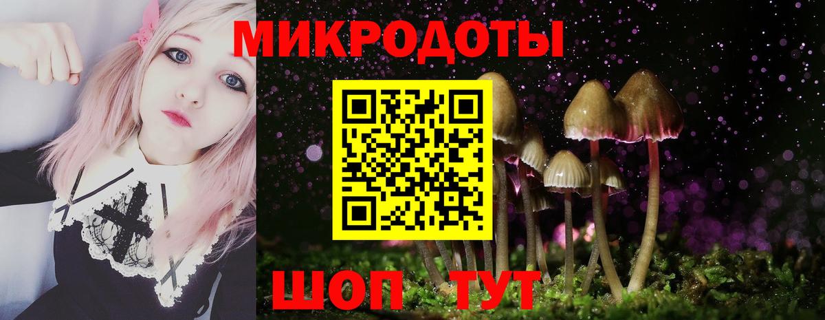 Галлюциногенные грибы мицелий Алексеевка